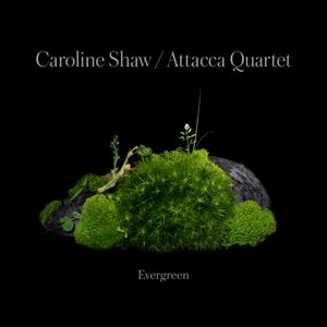Caroline Shaw/Attacca Quartet • Caroline Shaw: Evergreen (CD)
