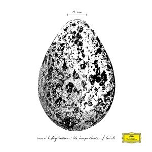 Hallgrimsson, Snorri • The Importance of Birds