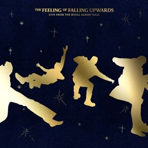 5 Seconds Of Summer • The Feeling Of Falling Upwards (2 LP)