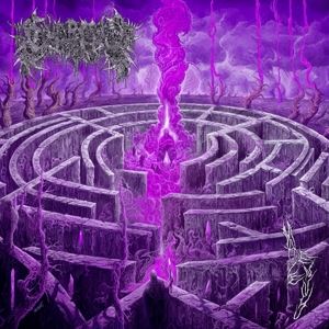 Civerous • Maze Envy (Purple/Magenta Merge Vinyl)